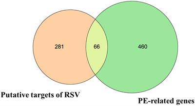 A network pharmacology study on mechanism of resveratrol in treating preeclampsia via regulation of AGE-RAGE and HIF-1 signalling pathways